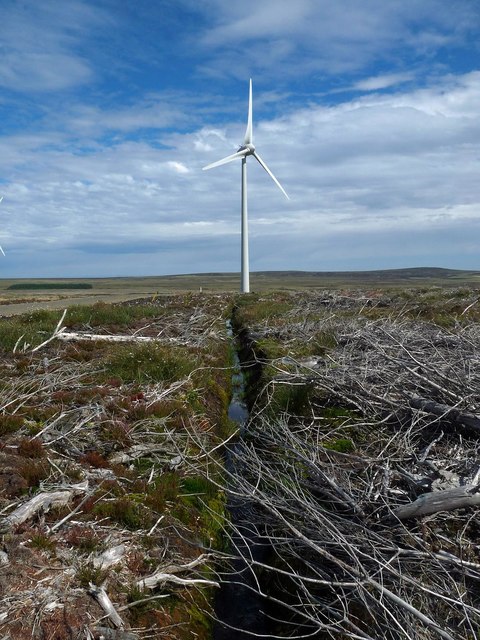 tree clearance stroupster wind farm